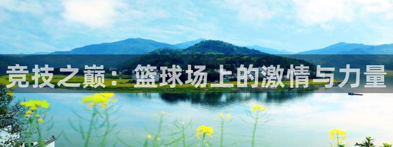 佛山市南海意昂机电仪器有限公司