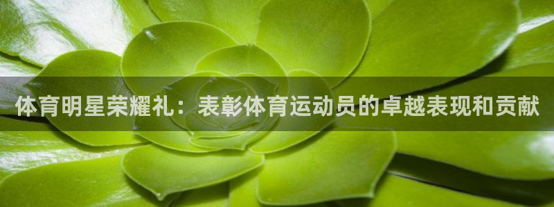 佛山市南海意昂机电仪器有限公司