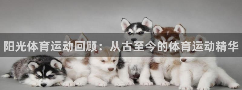 意昂2凯捷平台