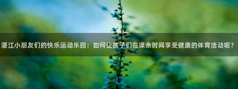 意昂2包怎么样