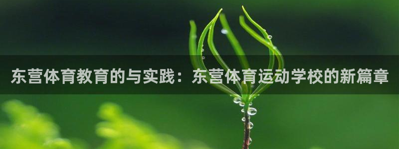 上海意昂2汽车电子有限公司