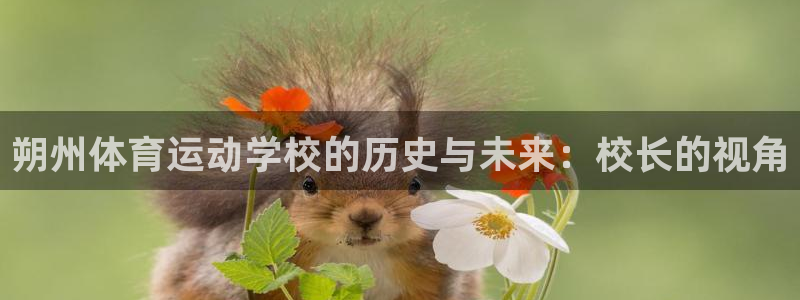 东莞市意昂电子科技有限公司
