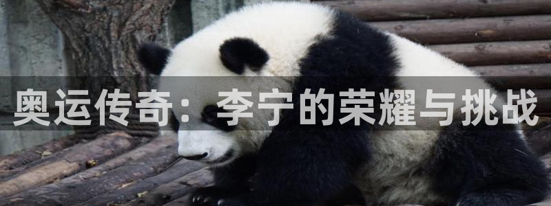 意昂2体育1招商