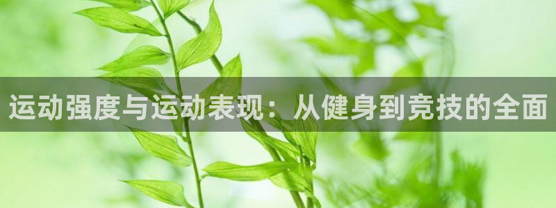 意昂5注册