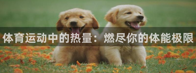 意昂平台招商
