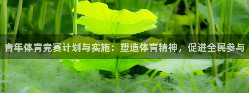 意昂5平台
