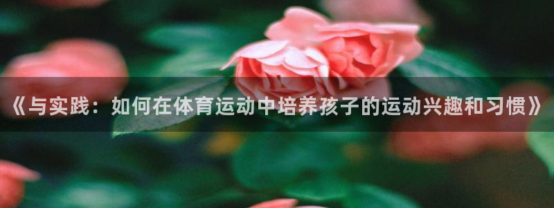 上海意昂2汽车电子有限公司