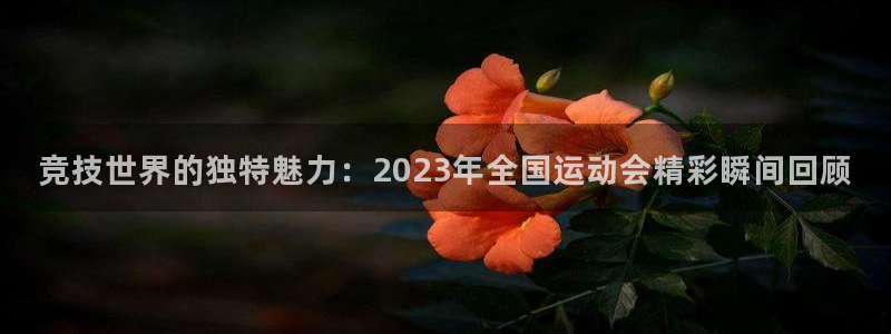意昂24开户