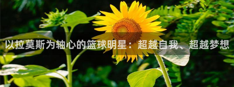 意昂24官网